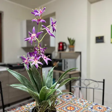 Apartment Maribu